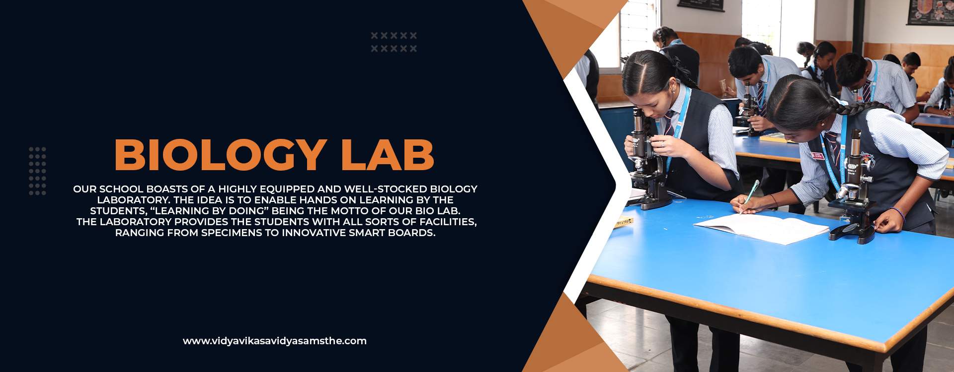 SCHOOL/COLLEGE IMAGE